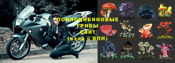 меф Алзамай